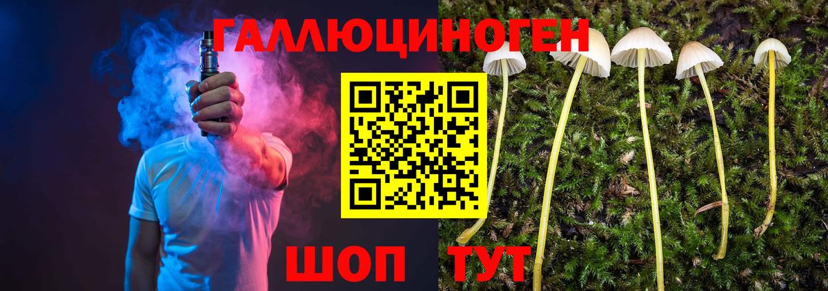Псилоцибиновые грибы прущие грибы  Вход с VPN  Алексин 